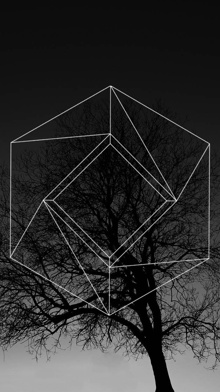 Fondo de pantalla de  720x1280