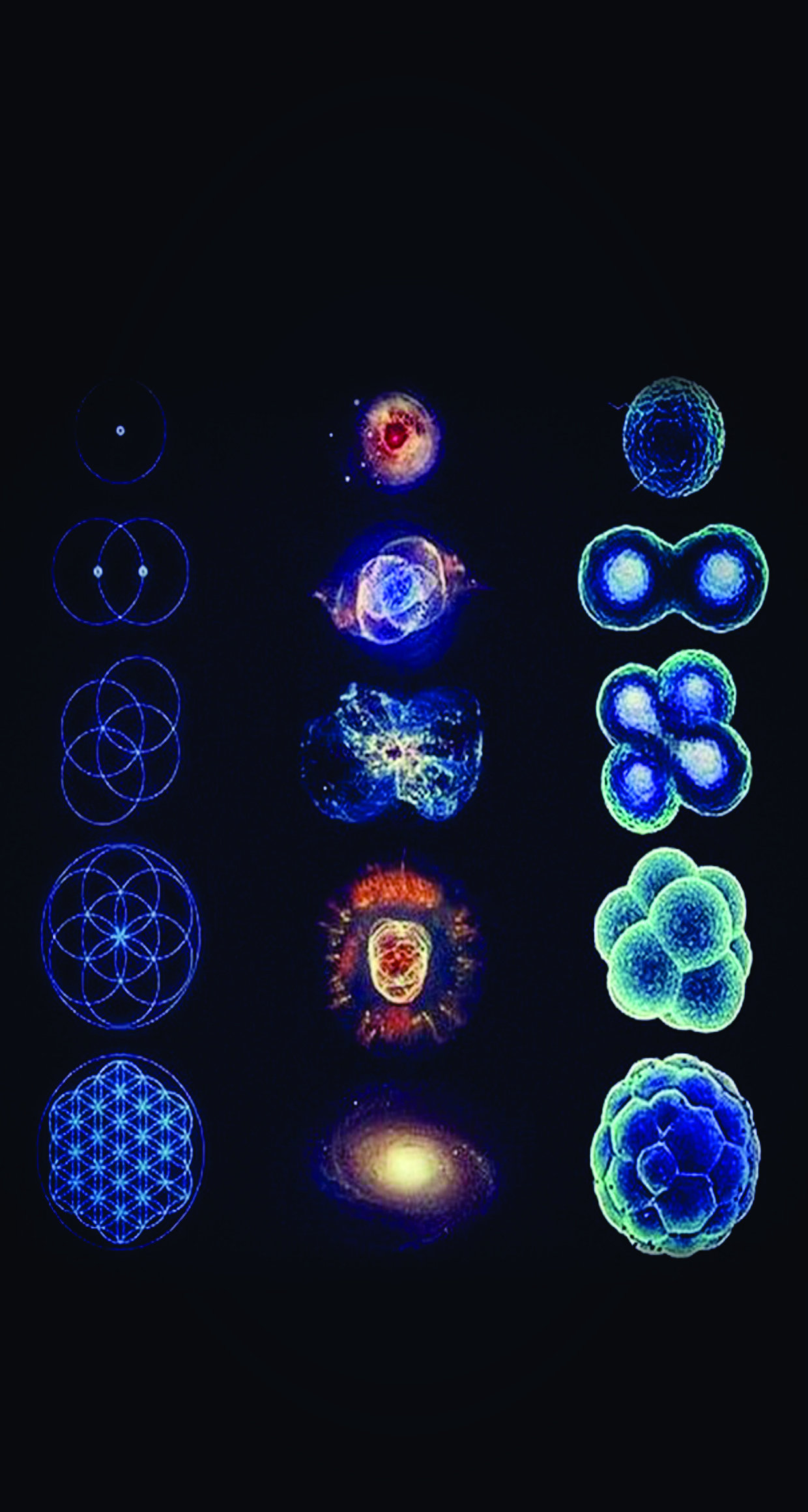 Fondo de pantalla de  1240x2320