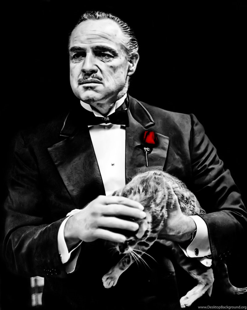 Fondo de pantalla de  800x1004