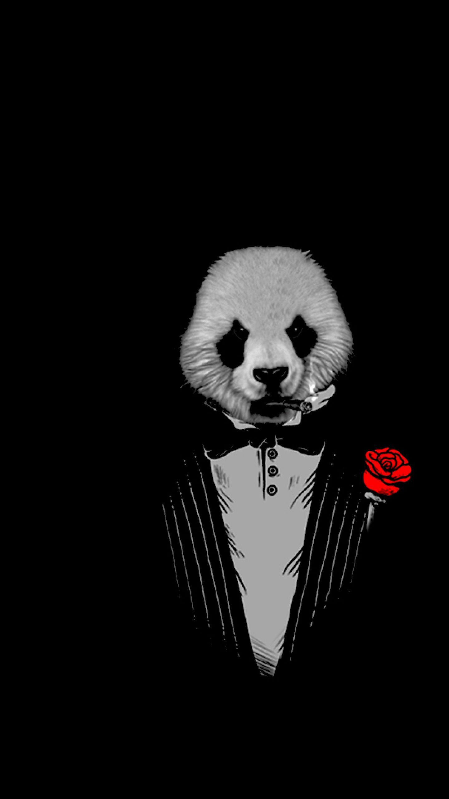 Fondo de pantalla de  1440x2560