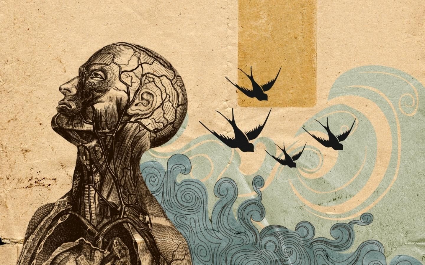 Fondo de pantalla de  1440x900