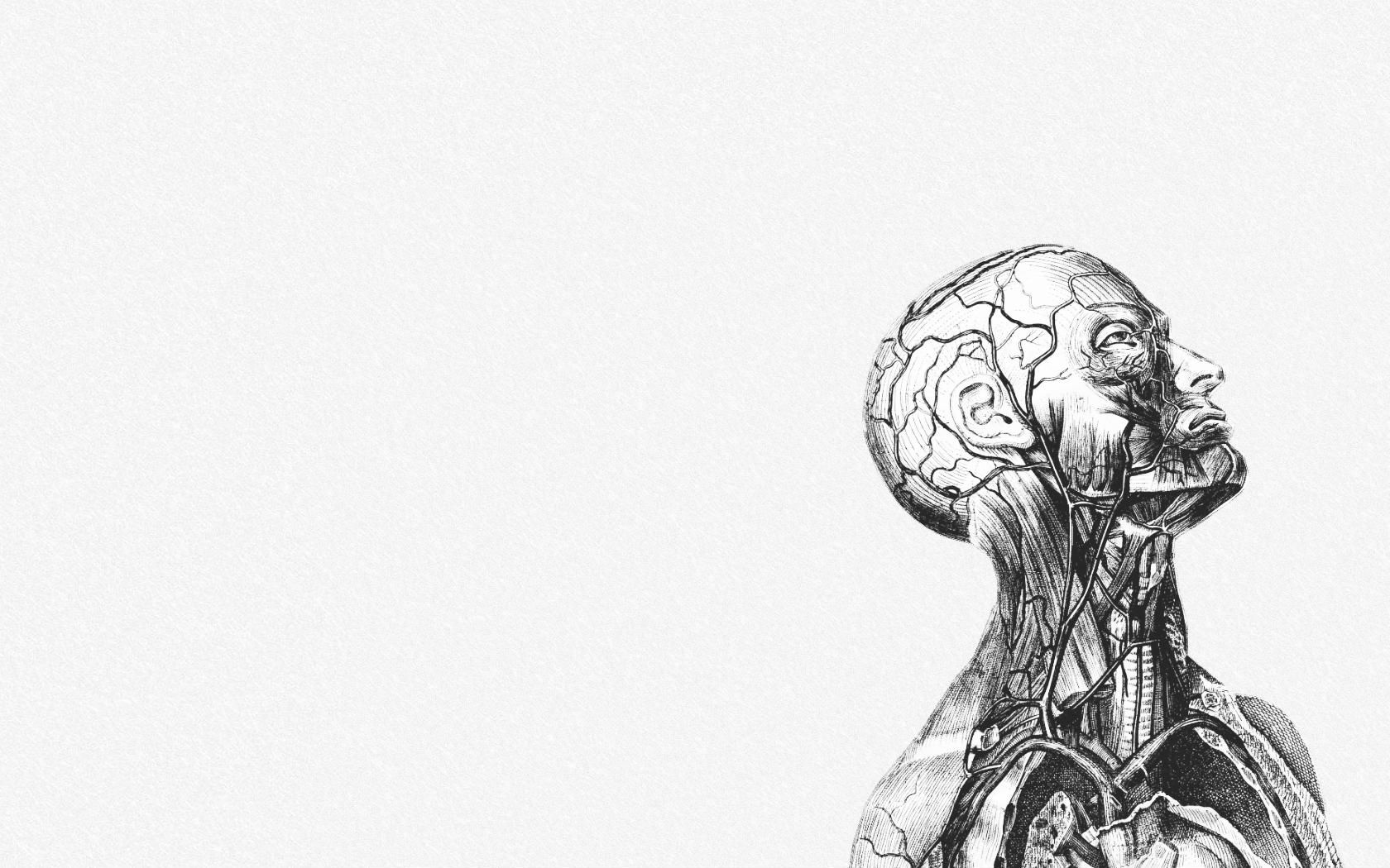 Fondo de pantalla de  1680x1050