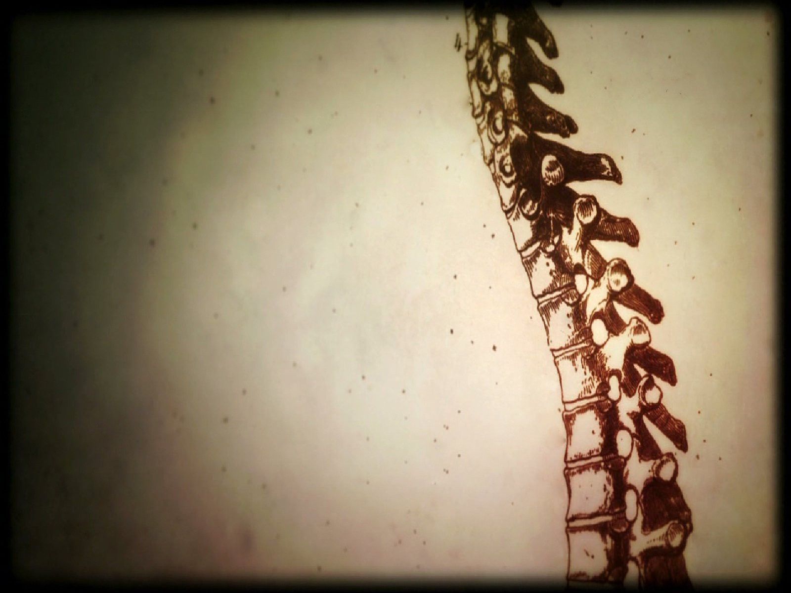 Fondo de pantalla de  1600x1200