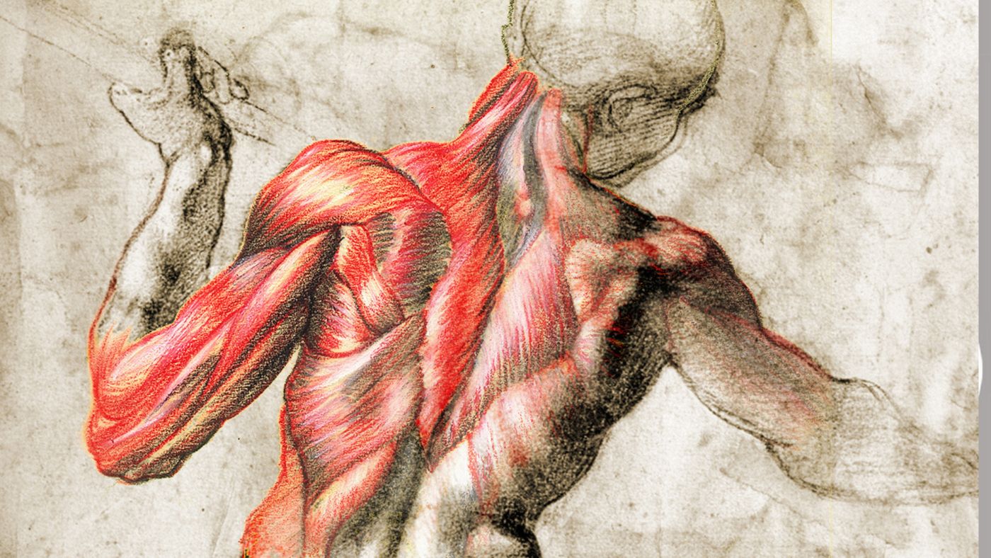 Fondo de pantalla de  1400x788