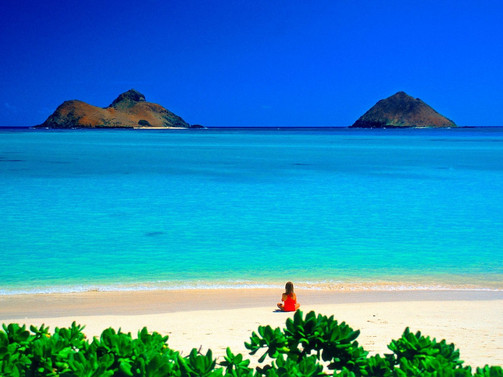 fondos de pantalla de hawaii - Teeccino