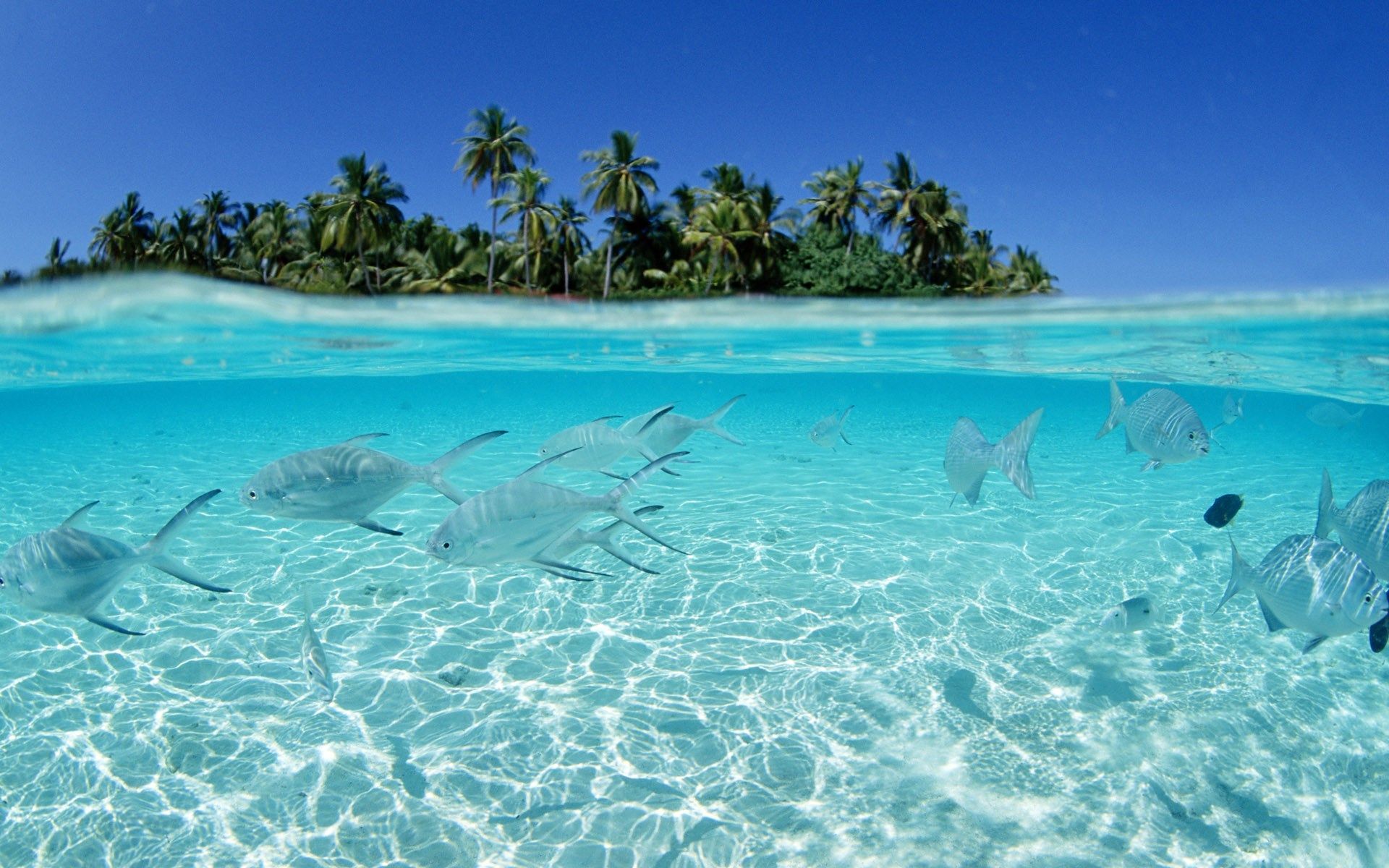 Impresionantes fondos de pantalla de Hawaii - Wallperio.com