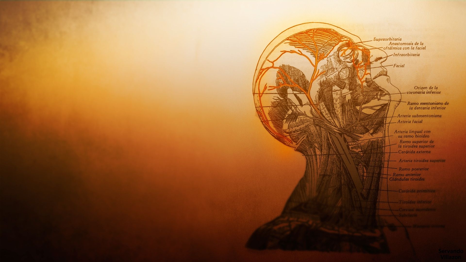 Fondo de pantalla de  1920x1080