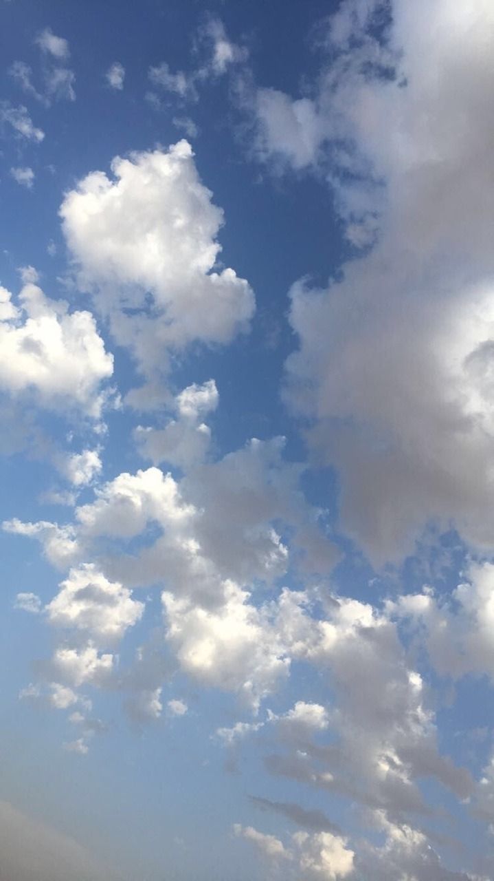 Fondo de pantalla de  719x1280