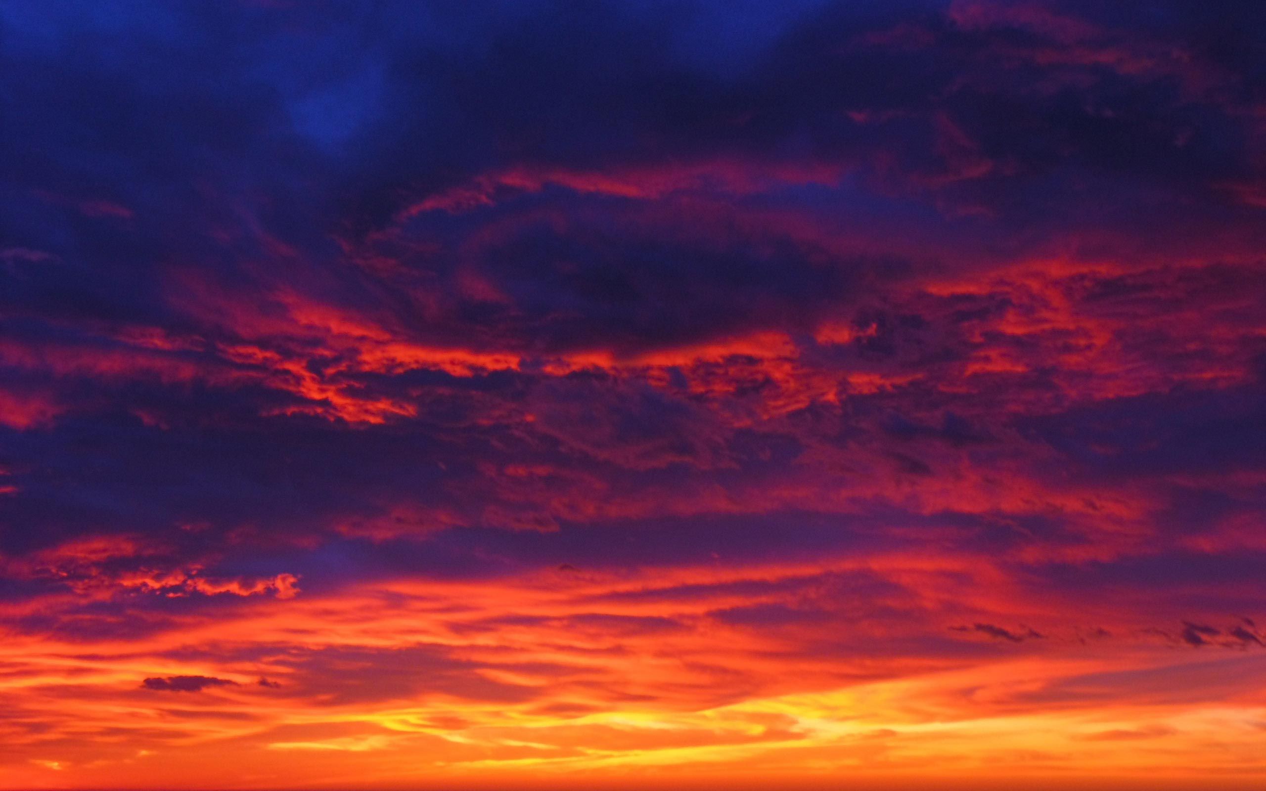 Fondo de pantalla de  2560x1600