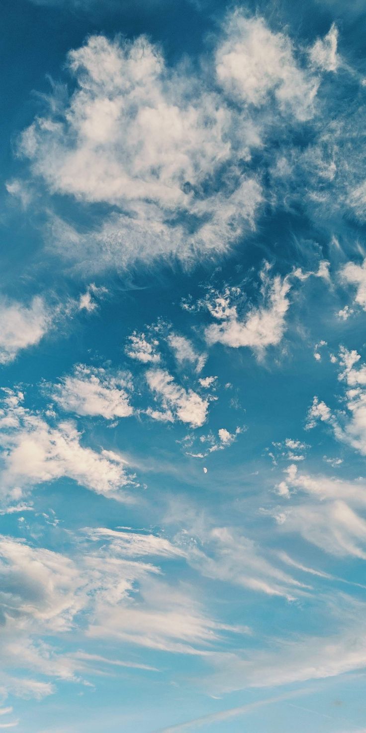 Fondo de pantalla de  736x1472