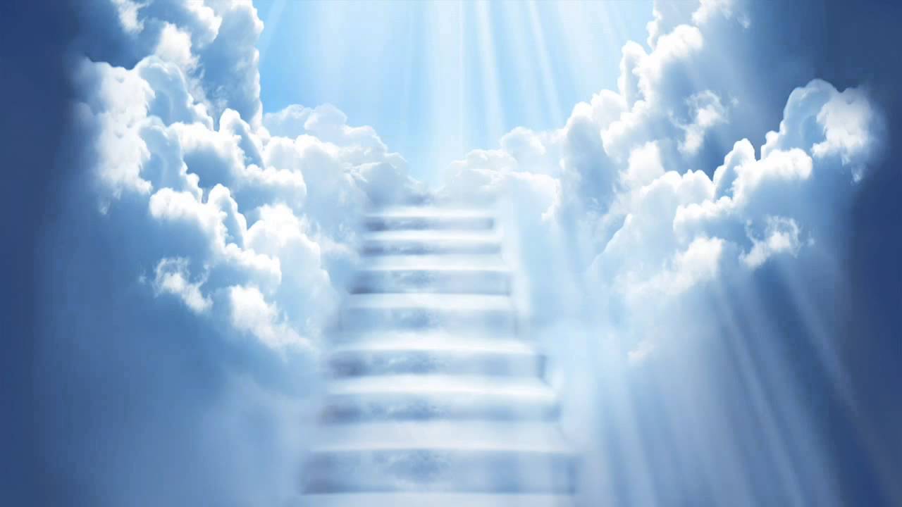 Fondo de pantalla de  1280x720
