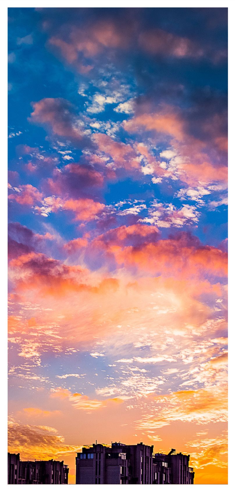 Fondo de pantalla de  808x1692