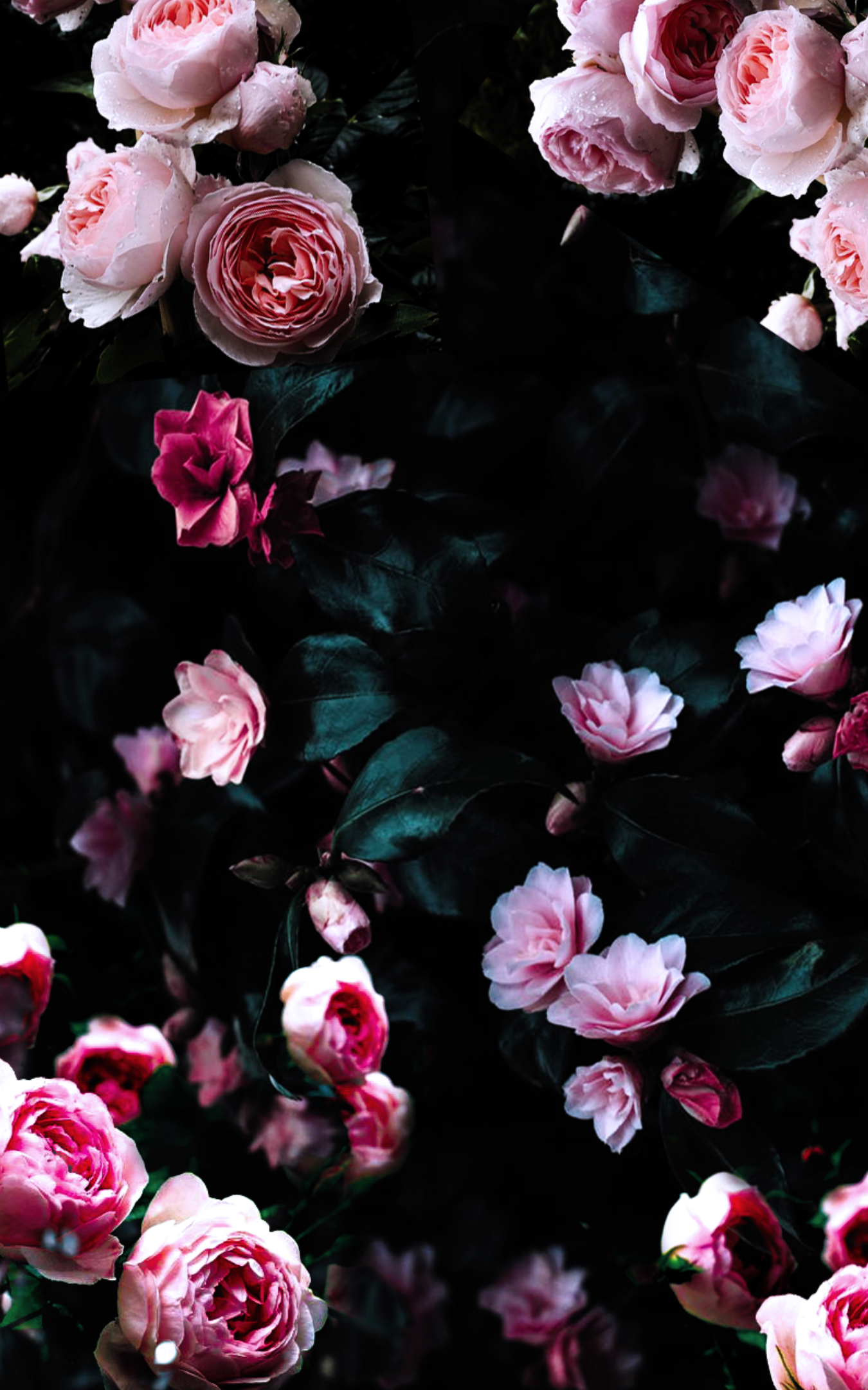 Fondo de pantalla de  1350x2160