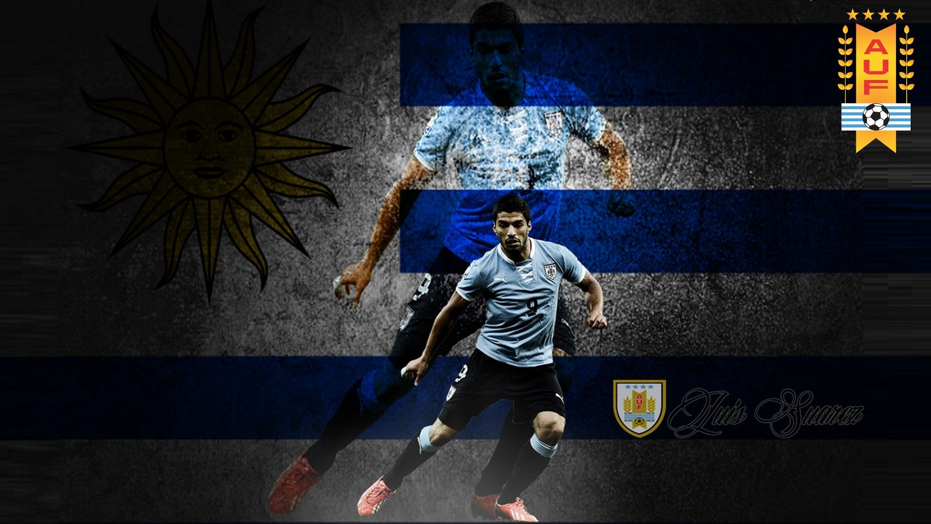 Fondo de pantalla de  1920x1080
