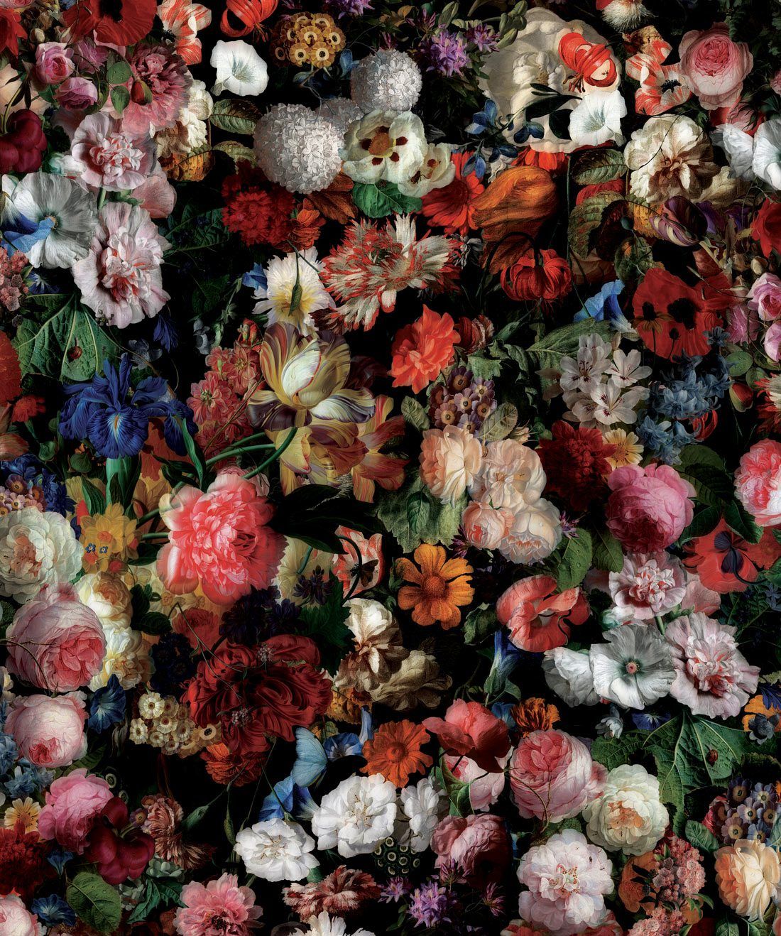 Fondo de pantalla de  1100x1318