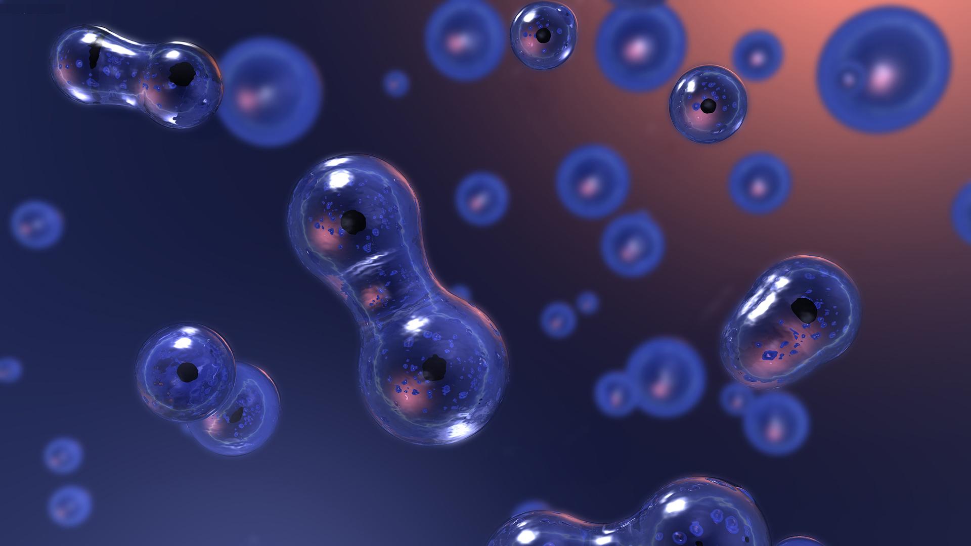 Fondo de pantalla de  1920x1080