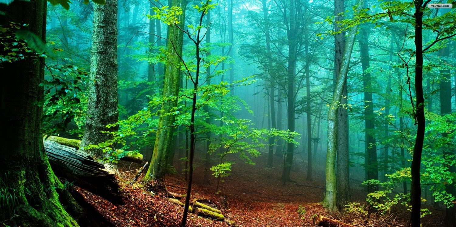 Fondo de pantalla de  1500x749