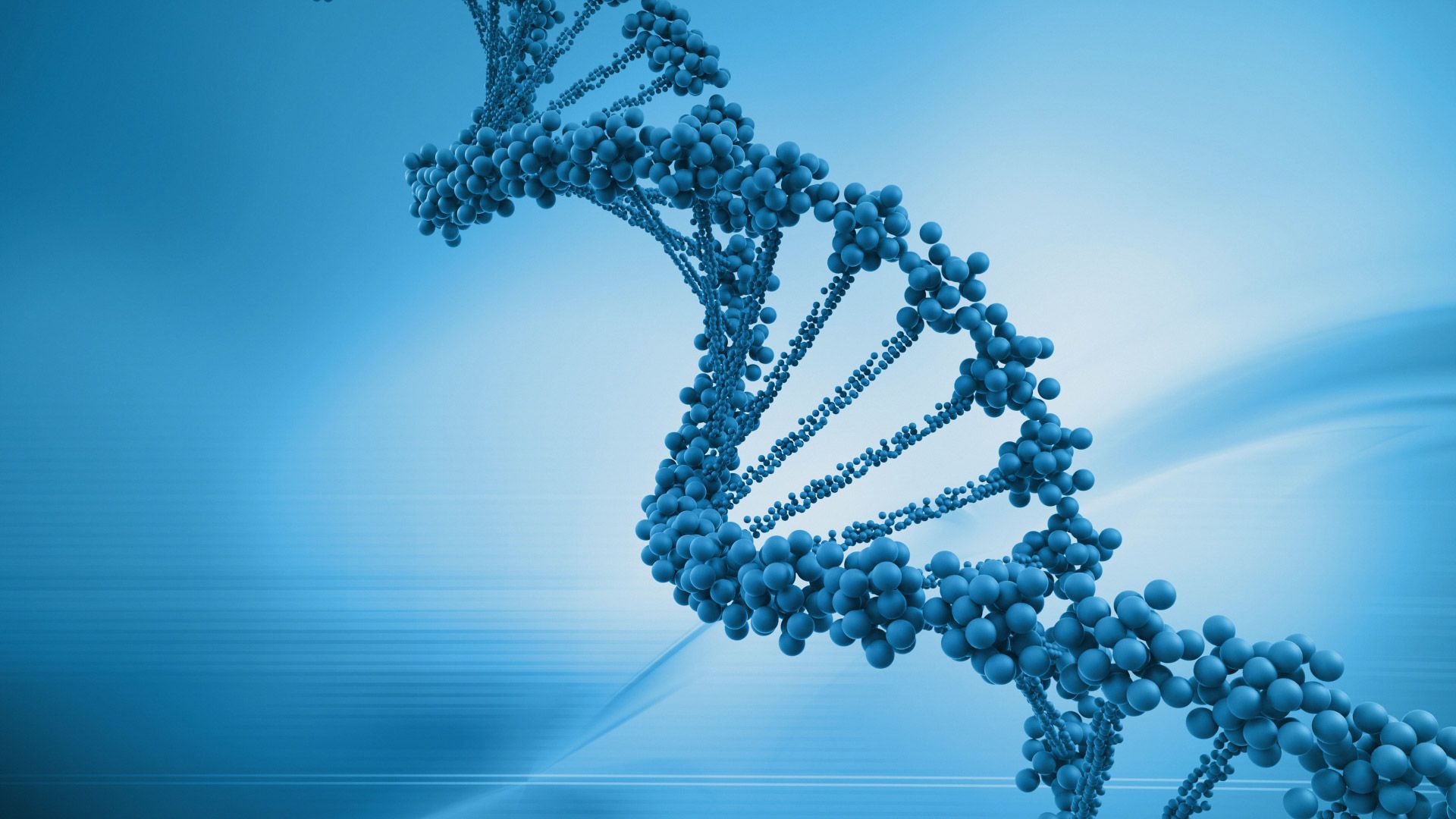 Fondo de pantalla de  1920x1080