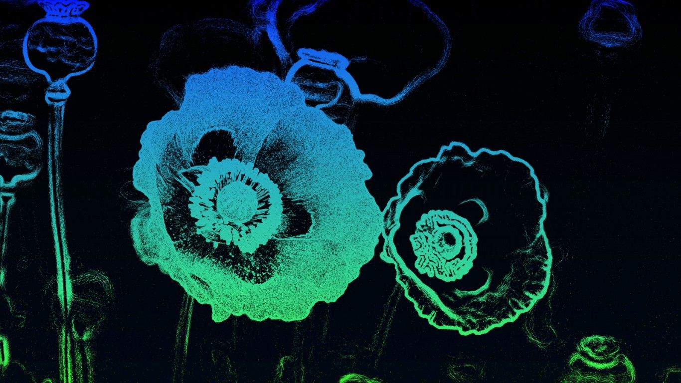 Fondo de pantalla de  1366x768