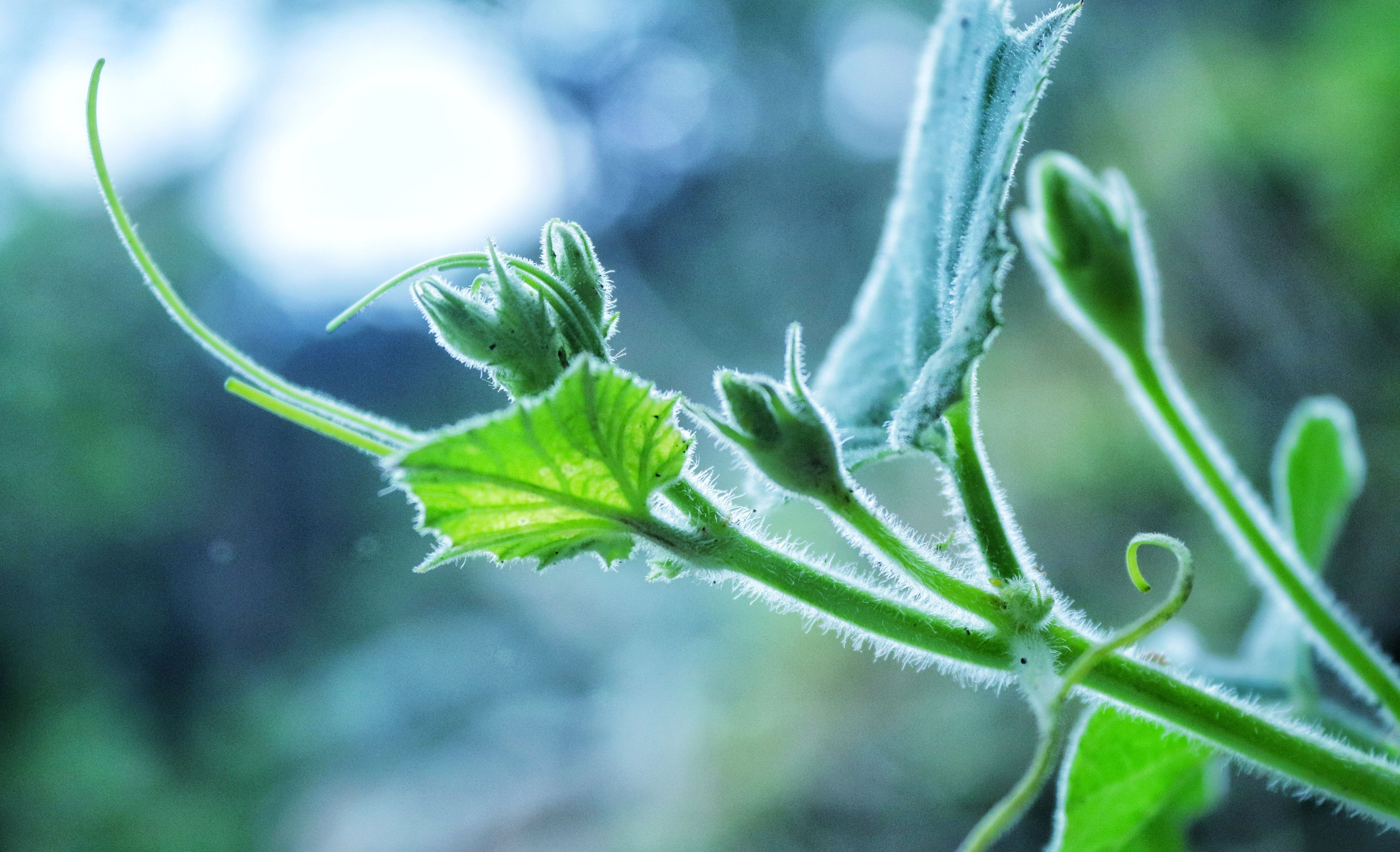 Fondo de pantalla de  5724x3486