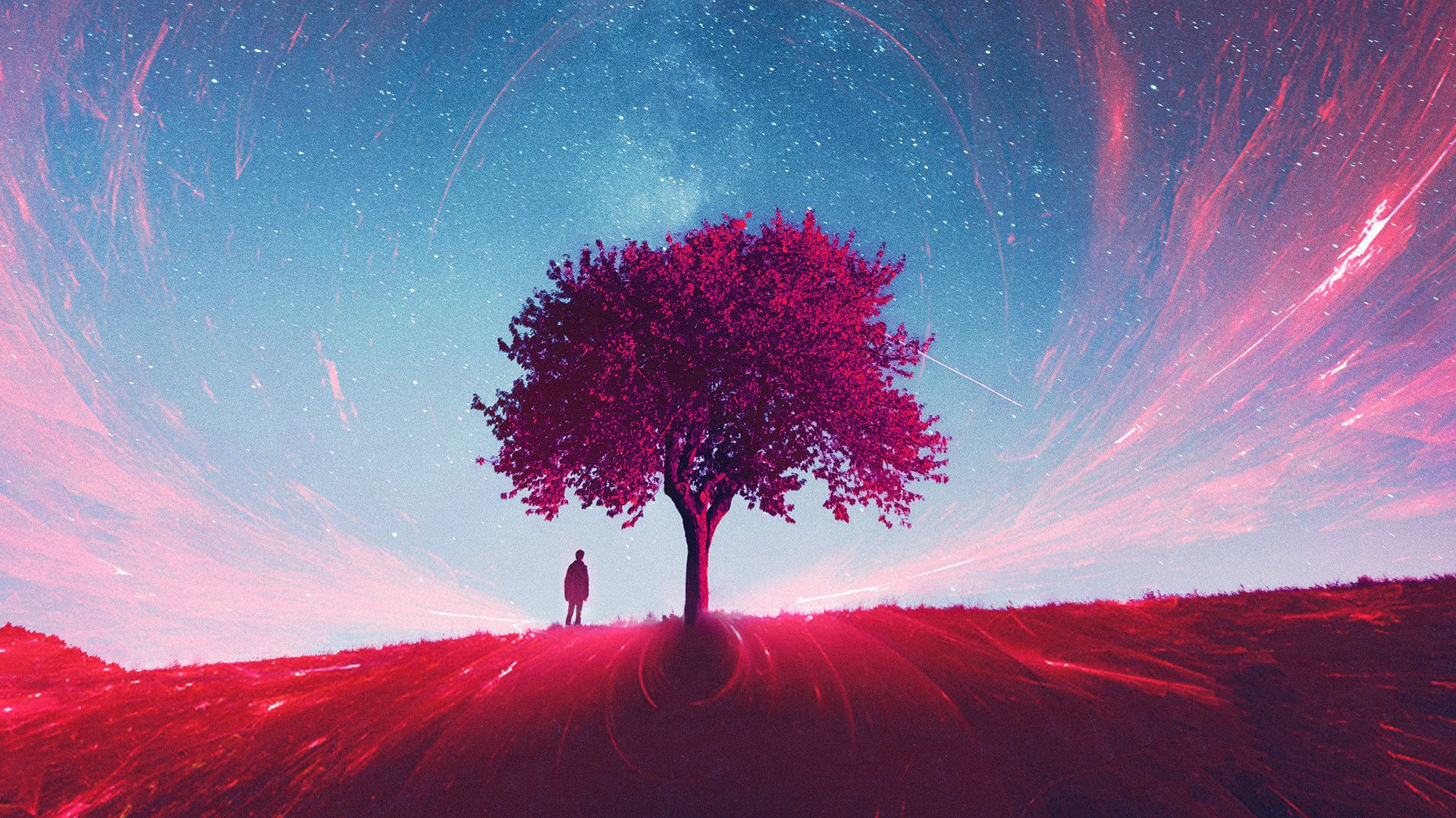 Fondo de pantalla   1920x1080