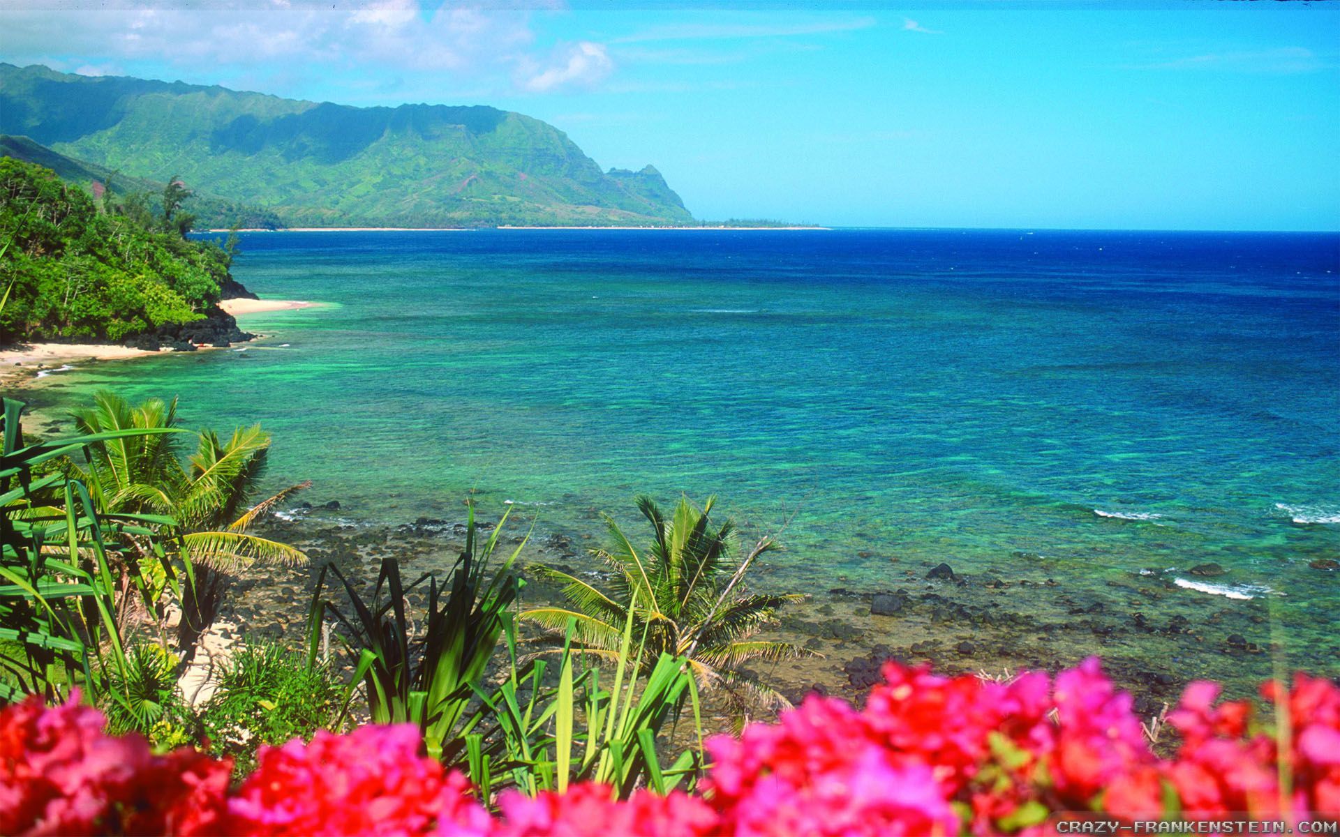 Hawaii Fondo de pantalla 13 - 1920 X 1200 | stmed.net
