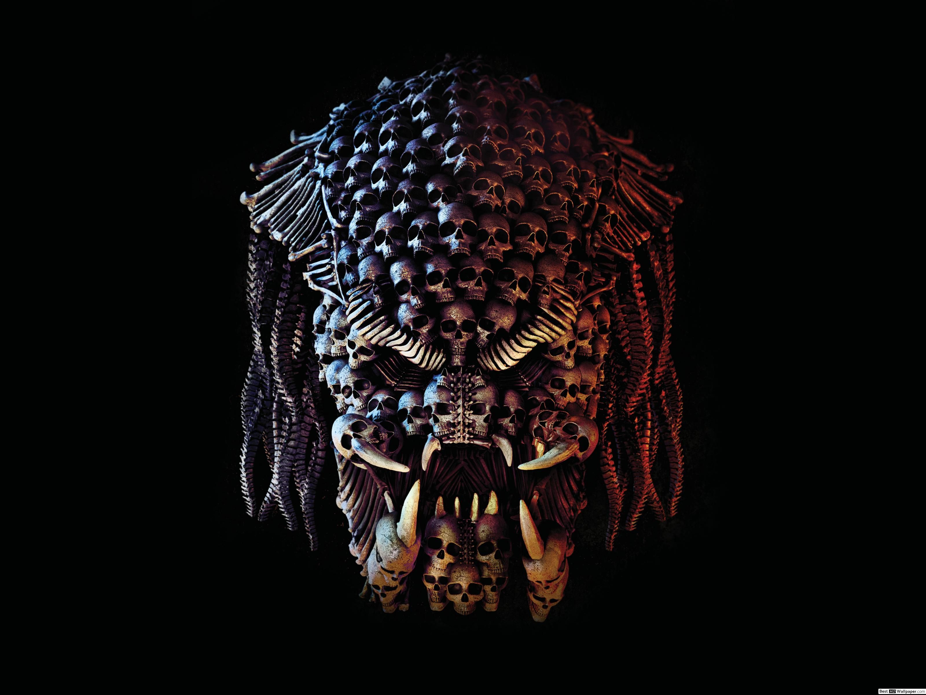 Fondo de pantalla de  3200x2400