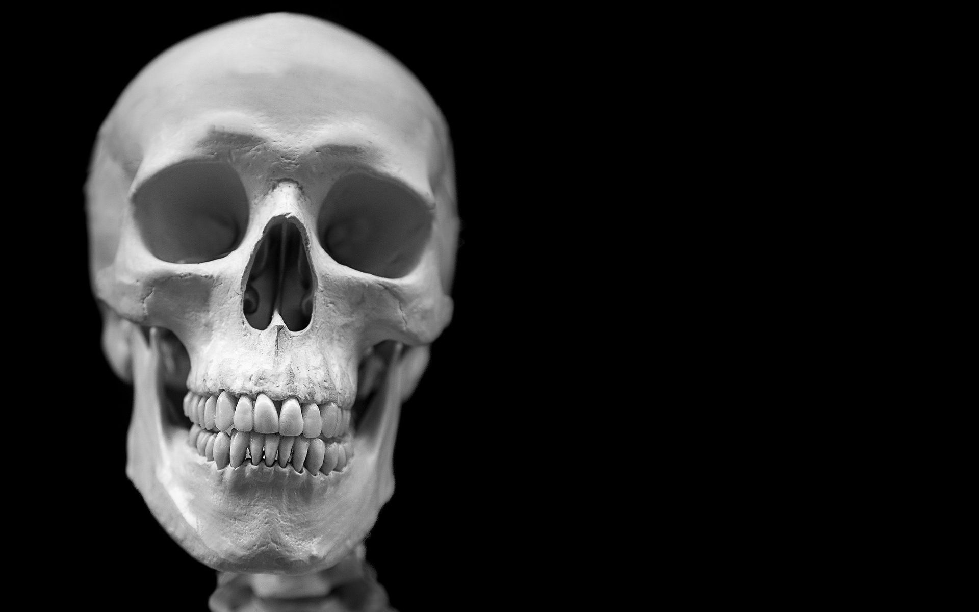 Fondo de pantalla de  1920x1200