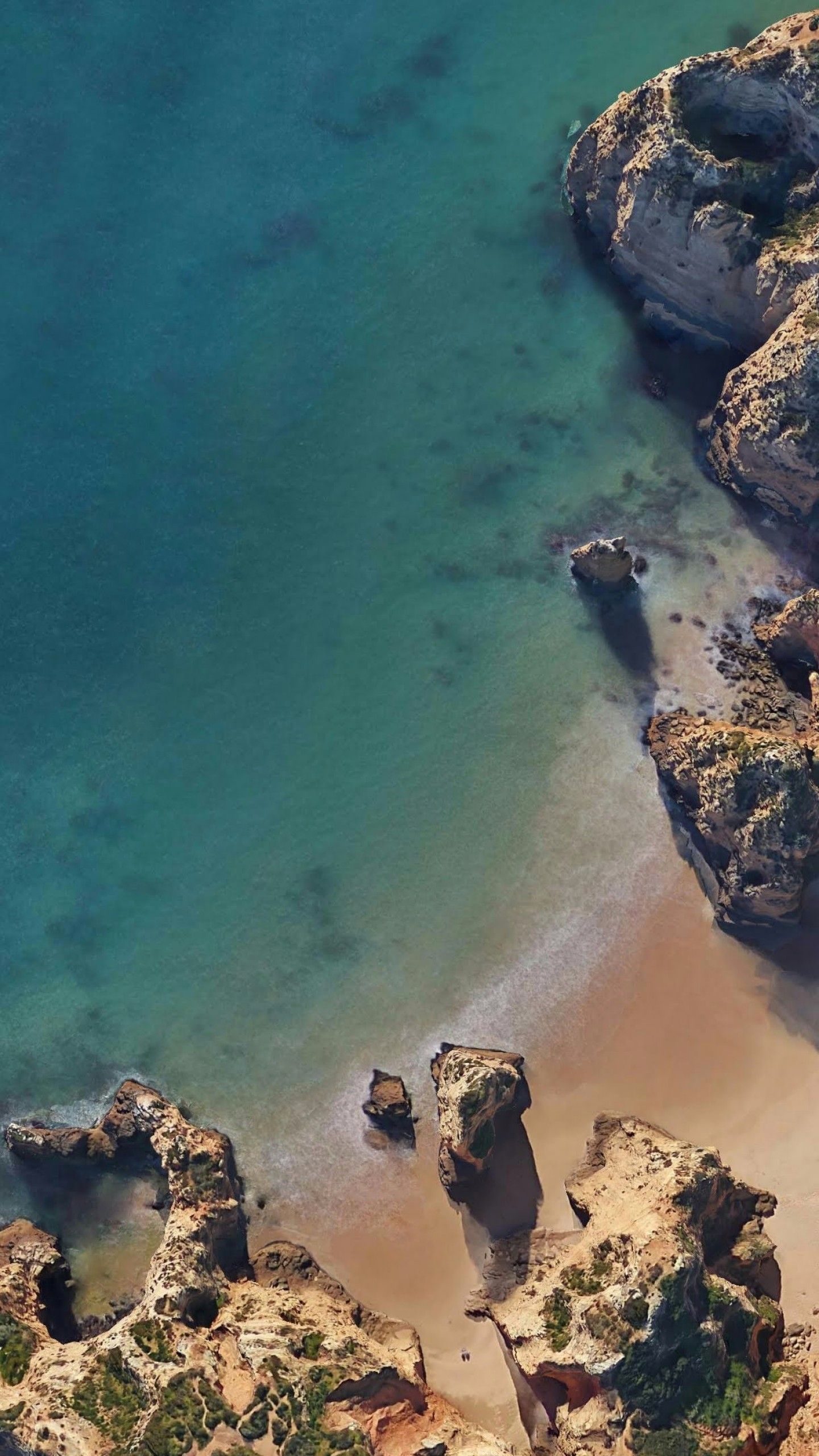 Fondo de pantalla de  1440x2560