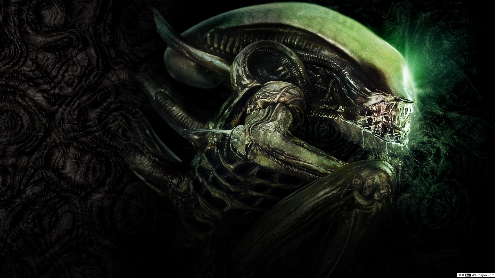 Fondo de pantalla de  1920x1080