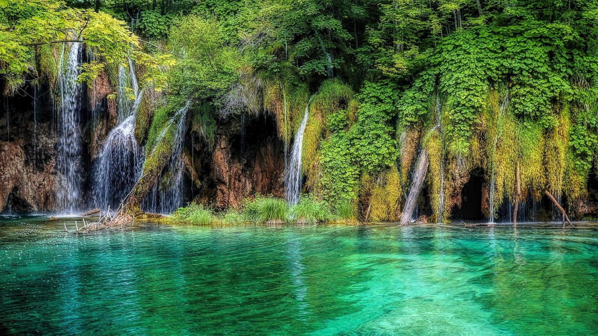Fondo de pantalla de  1920x1080