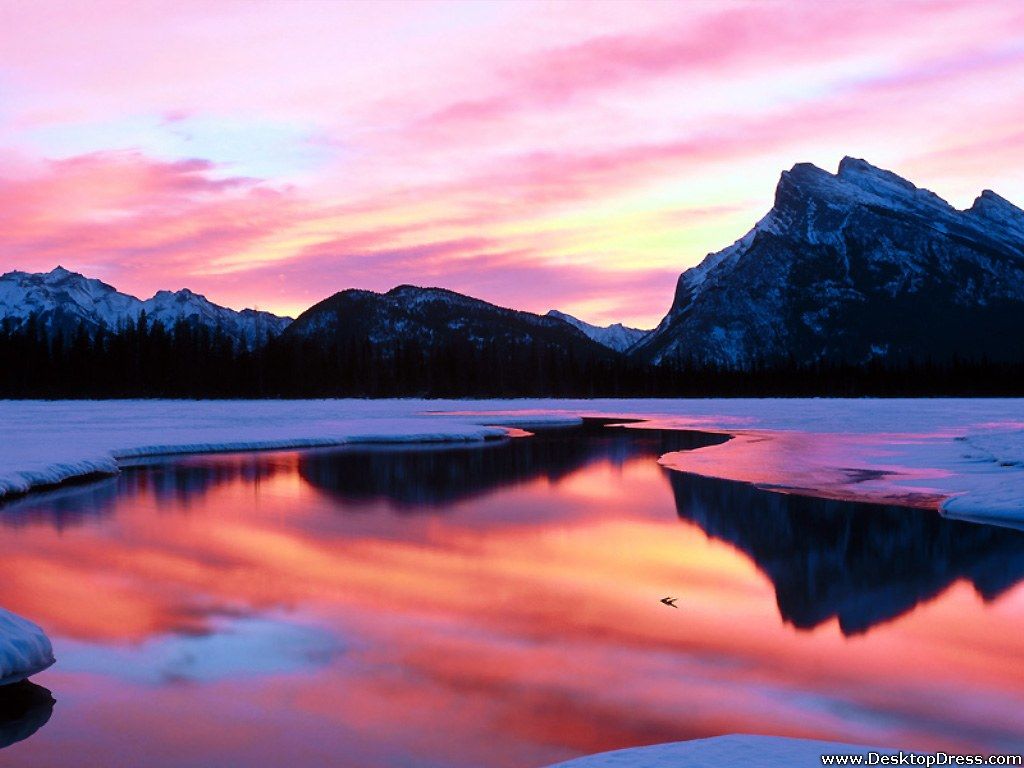 Fondo de pantalla de  1024x768