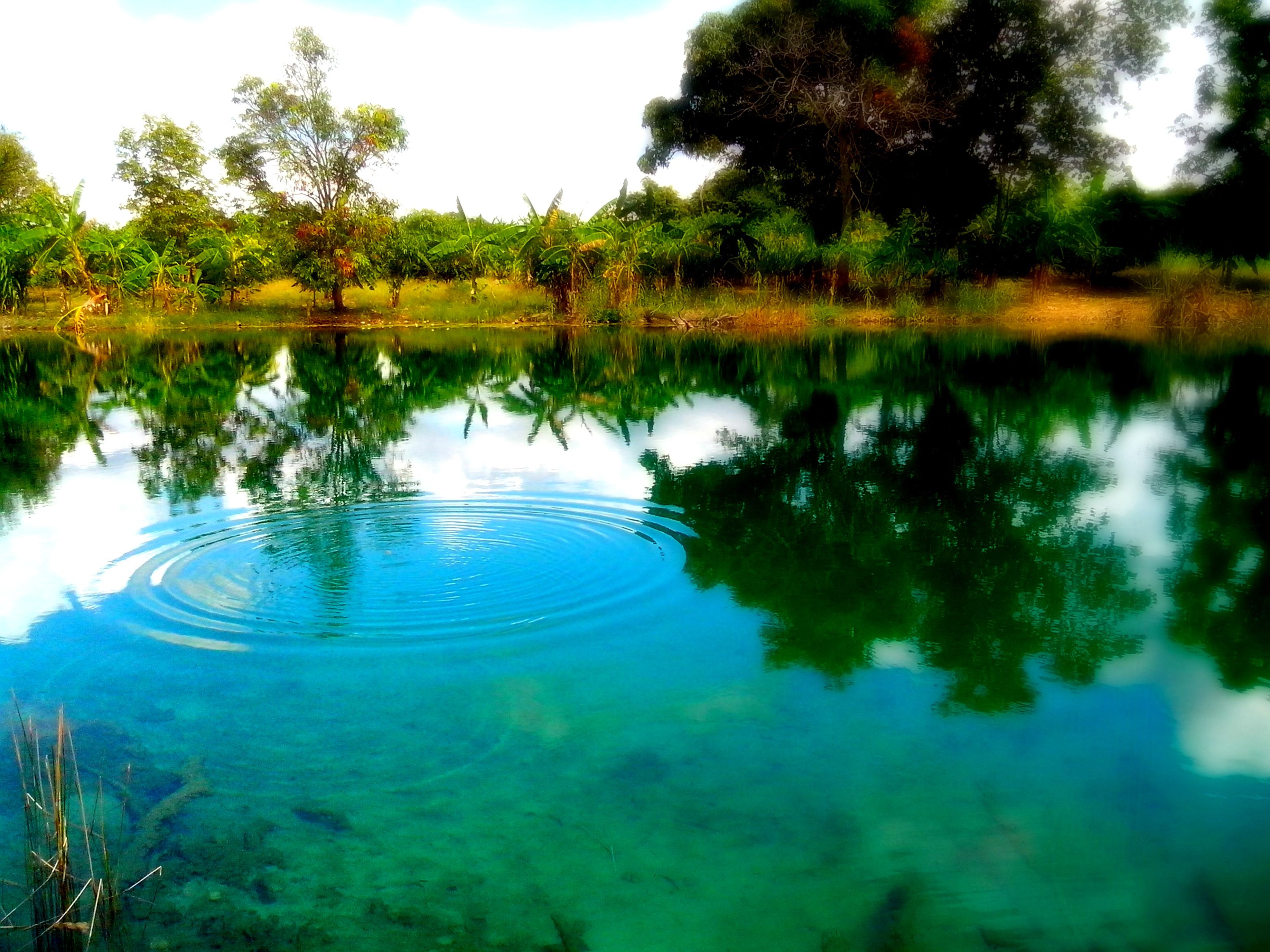 Fondo de pantalla de  3128x2346