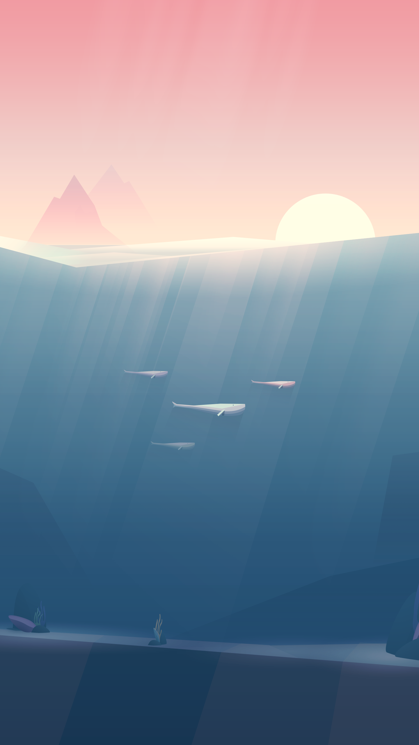 Fondo de pantalla de  1440x2560