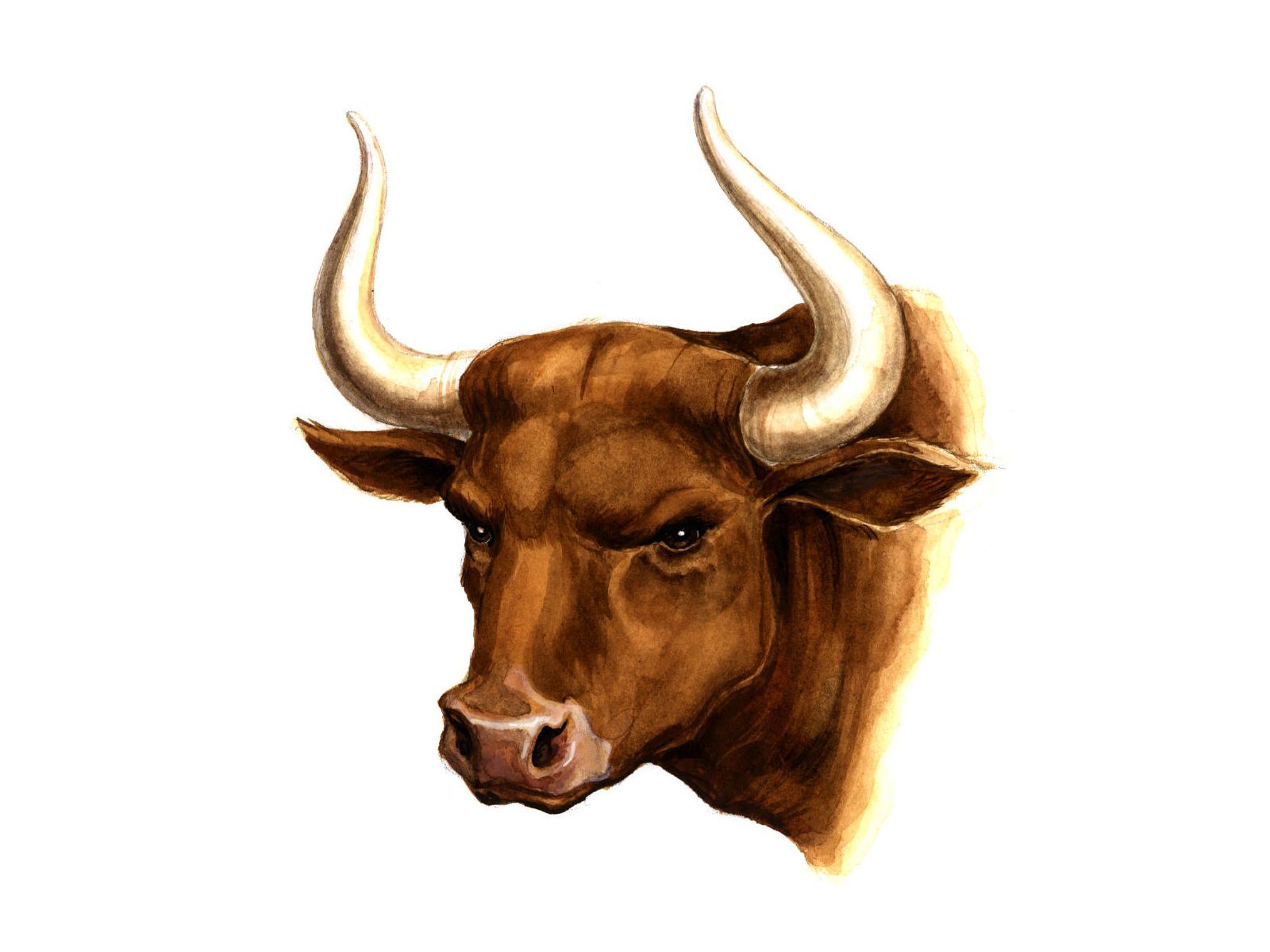 Fondo de pantalla de  1600x1200