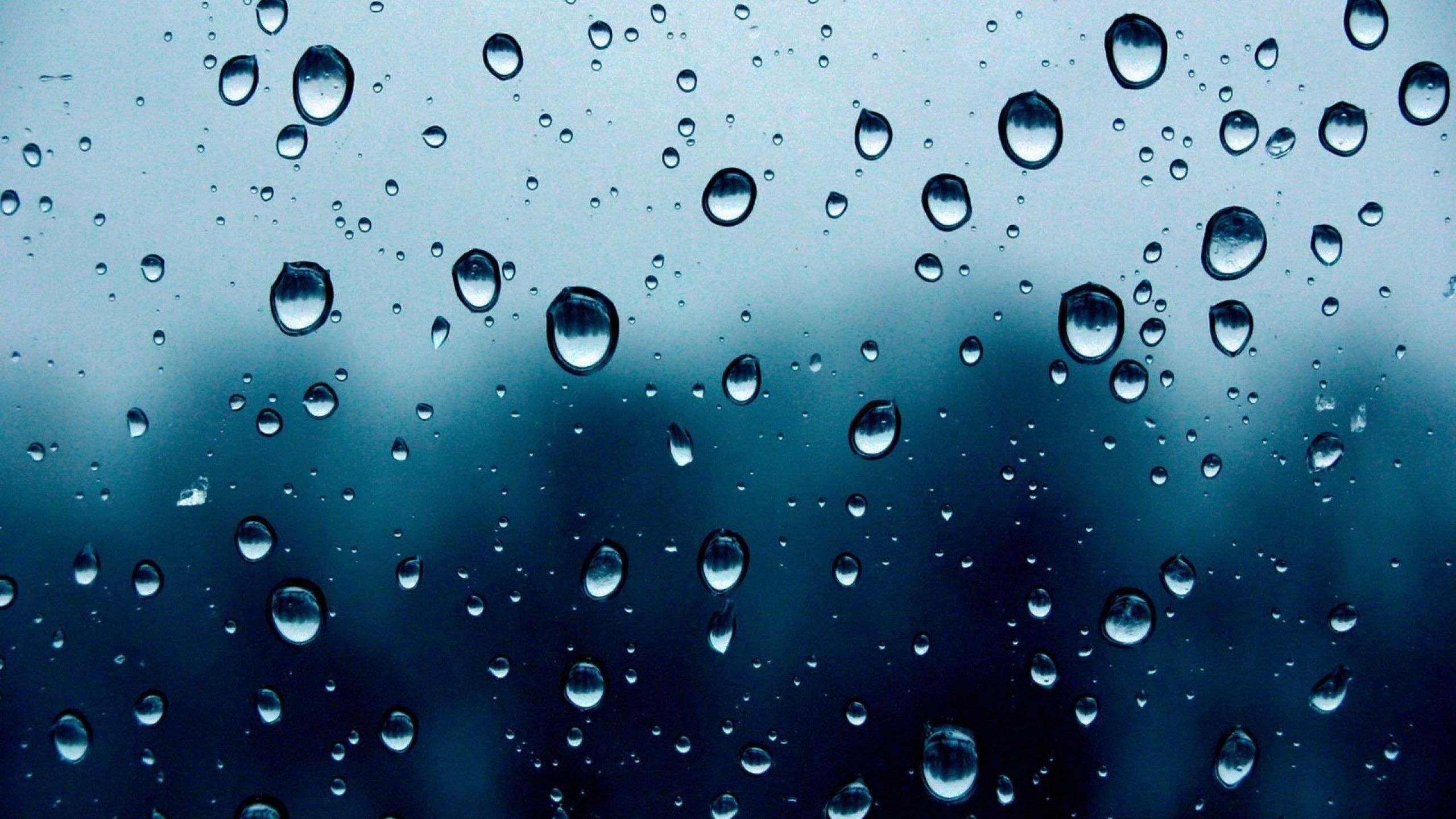 Fondo de pantalla de  2560x1440