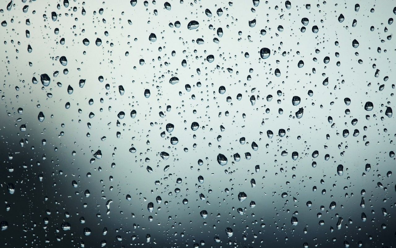 Fondo de pantalla de  1280x804