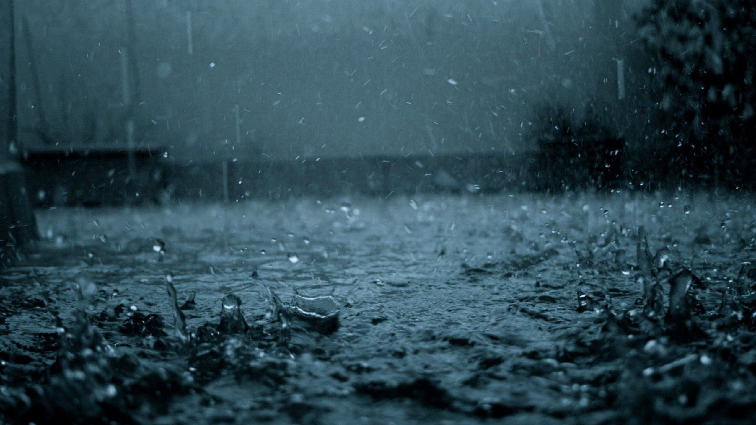 Fondo de pantalla de  2560x1440