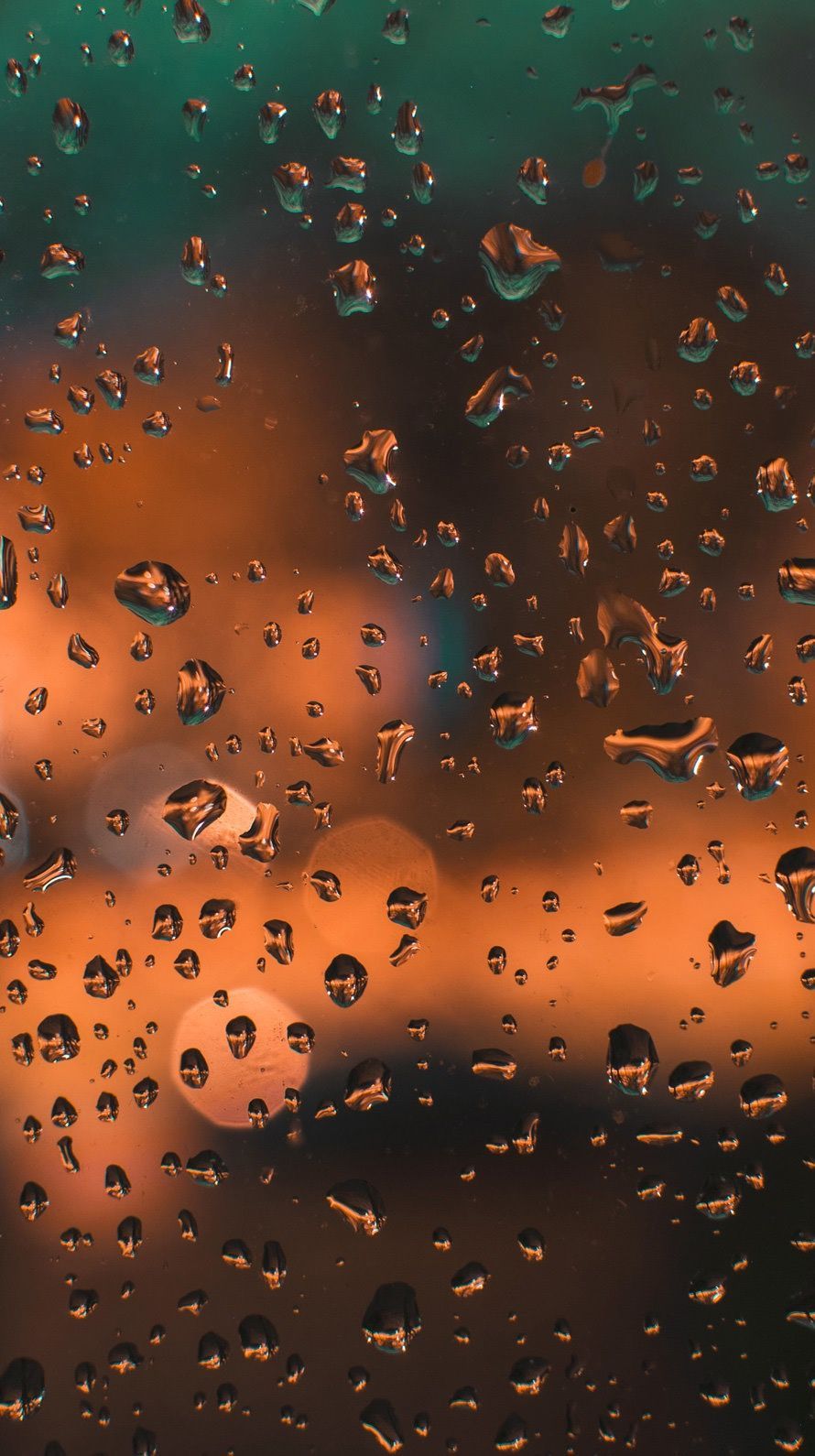 Fondo de pantalla de  890x1590
