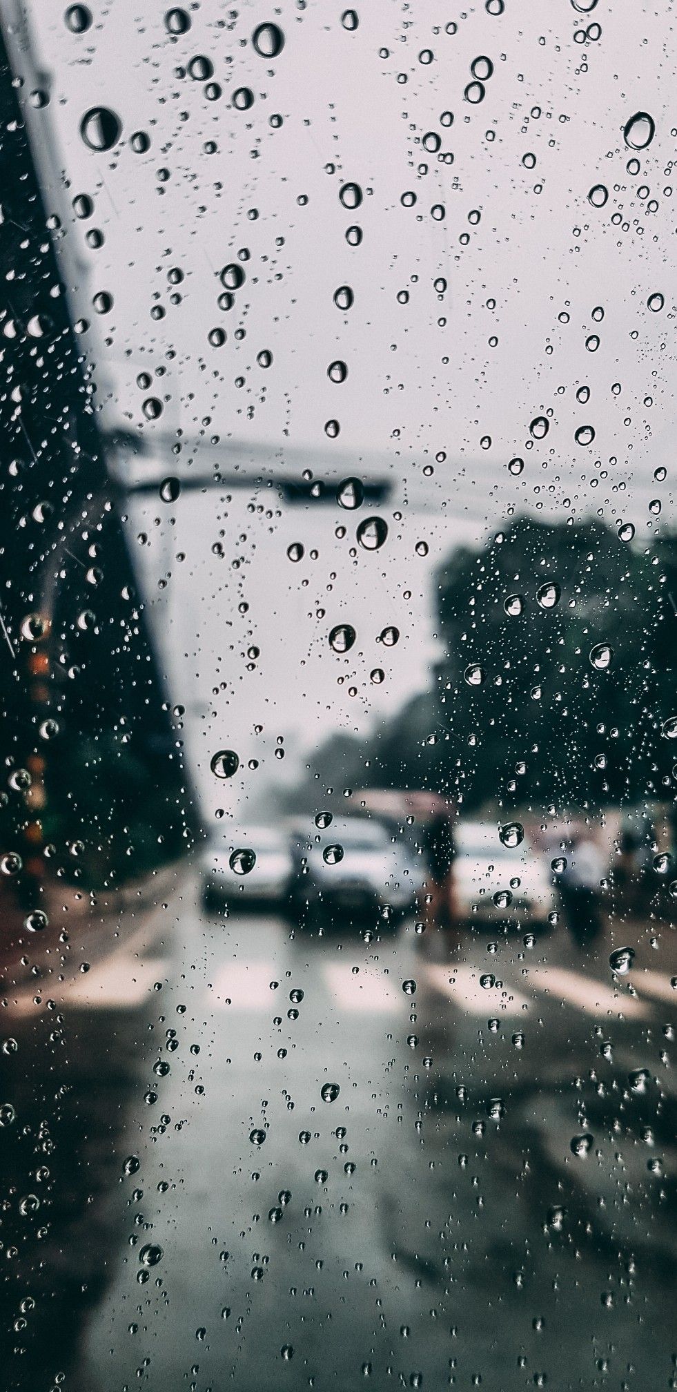 Fondo de pantalla de  981x2016