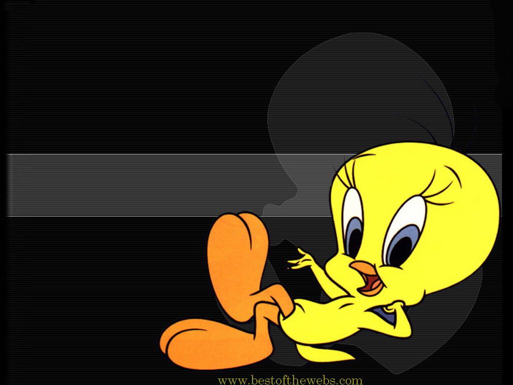 Fondo de pantalla de  1024x768