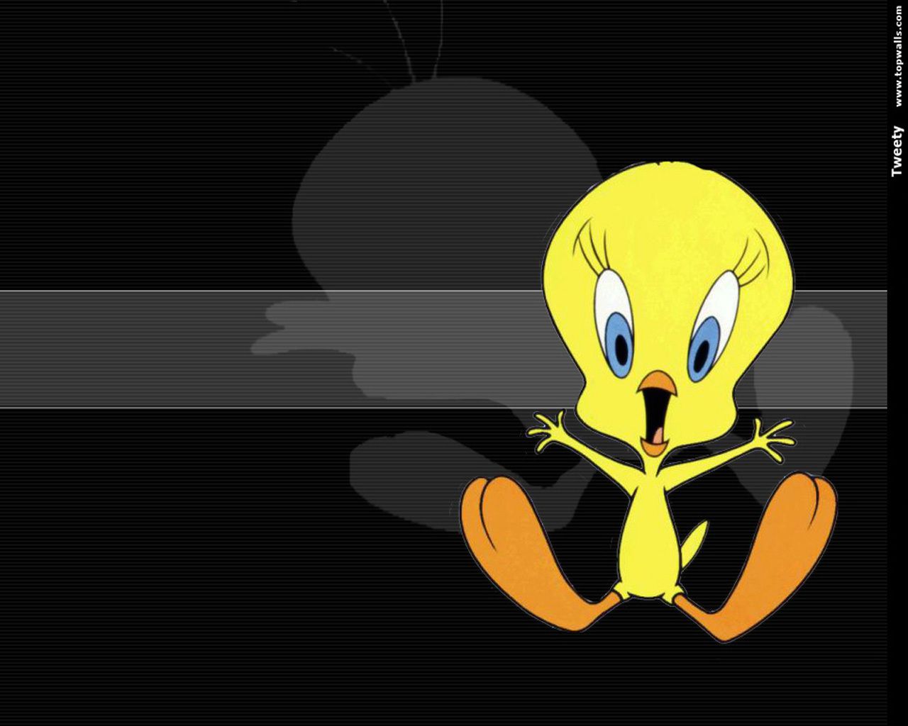 Fondo de pantalla de  1280x1024
