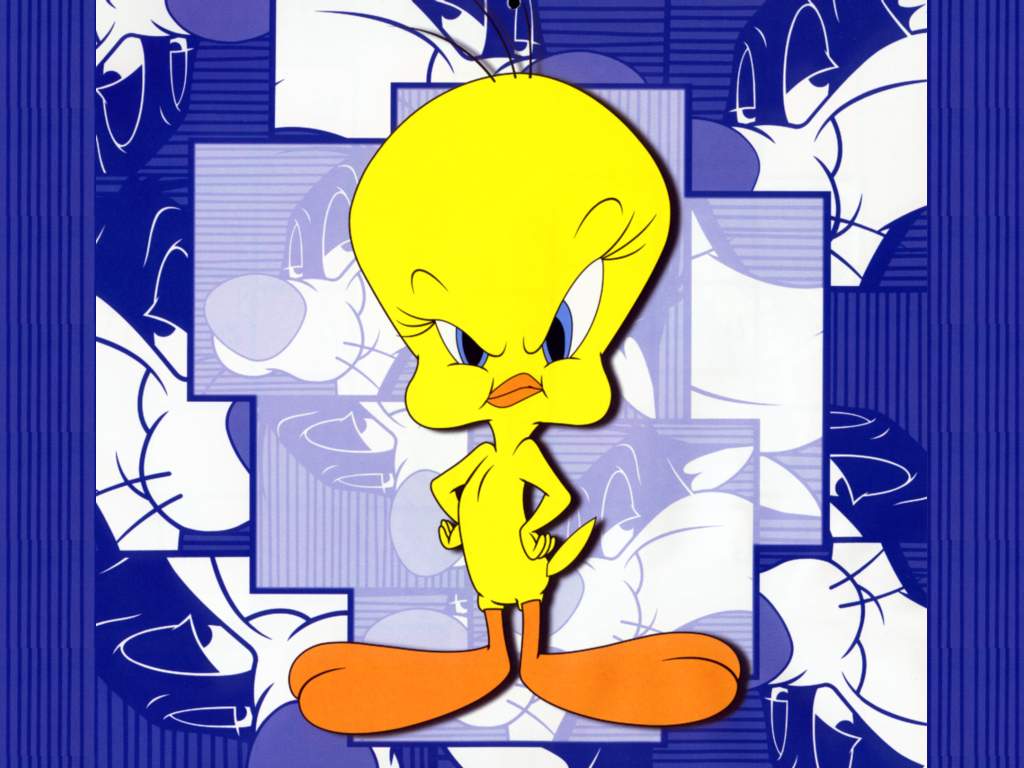 Fondo de pantalla de  1024x768