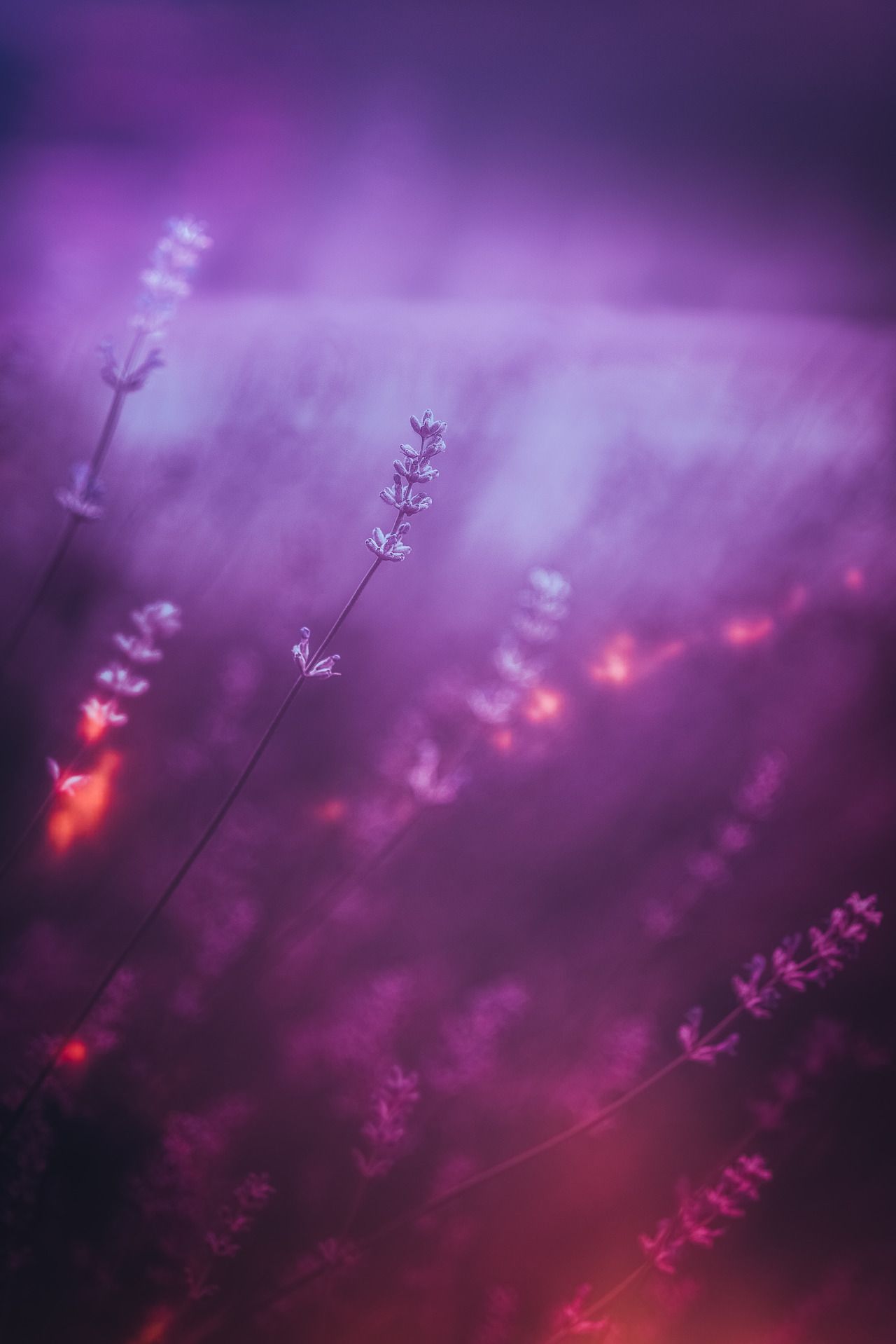 Fondo de pantalla del  1280x1918