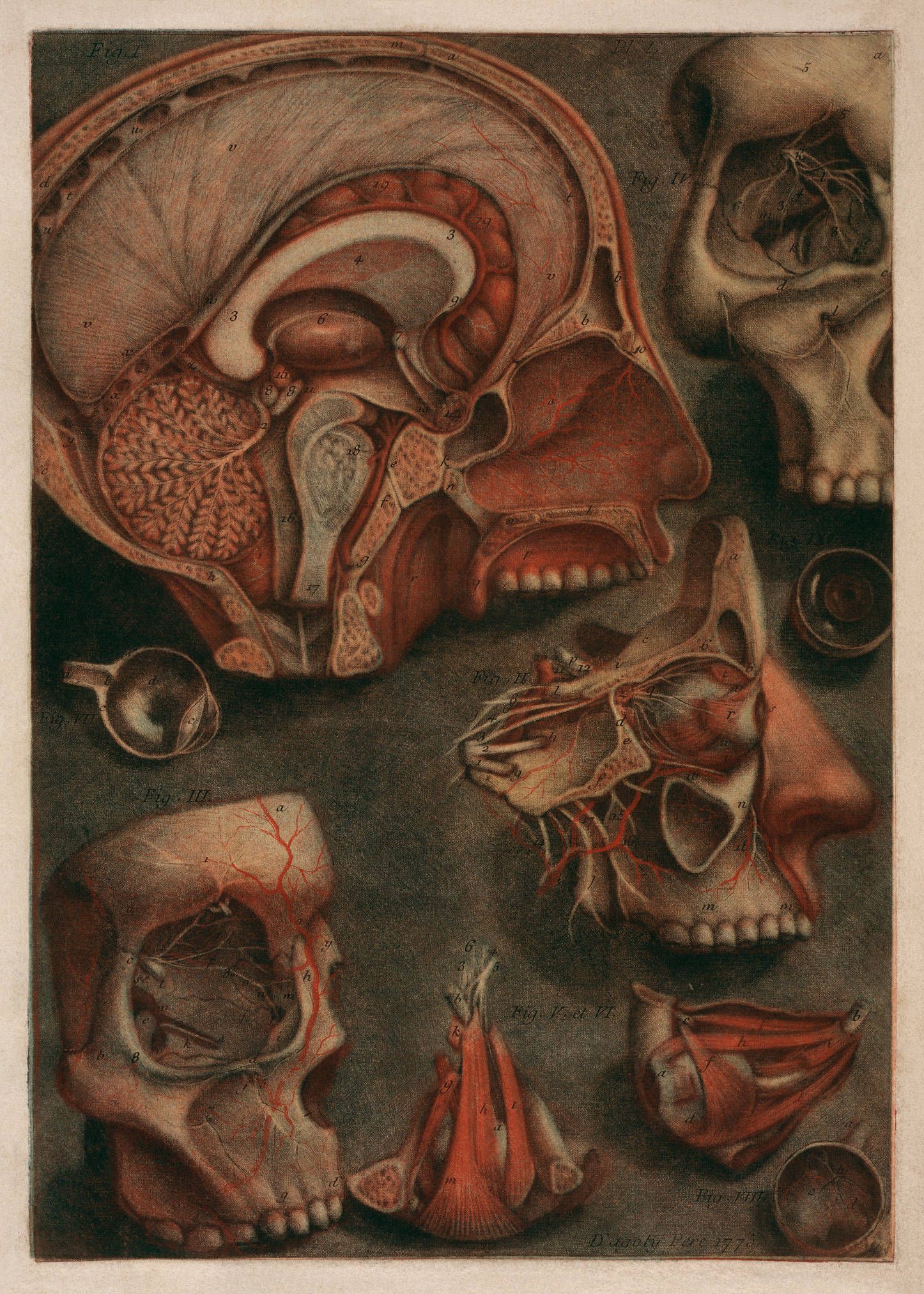 Fondo de pantalla del  1446x2025