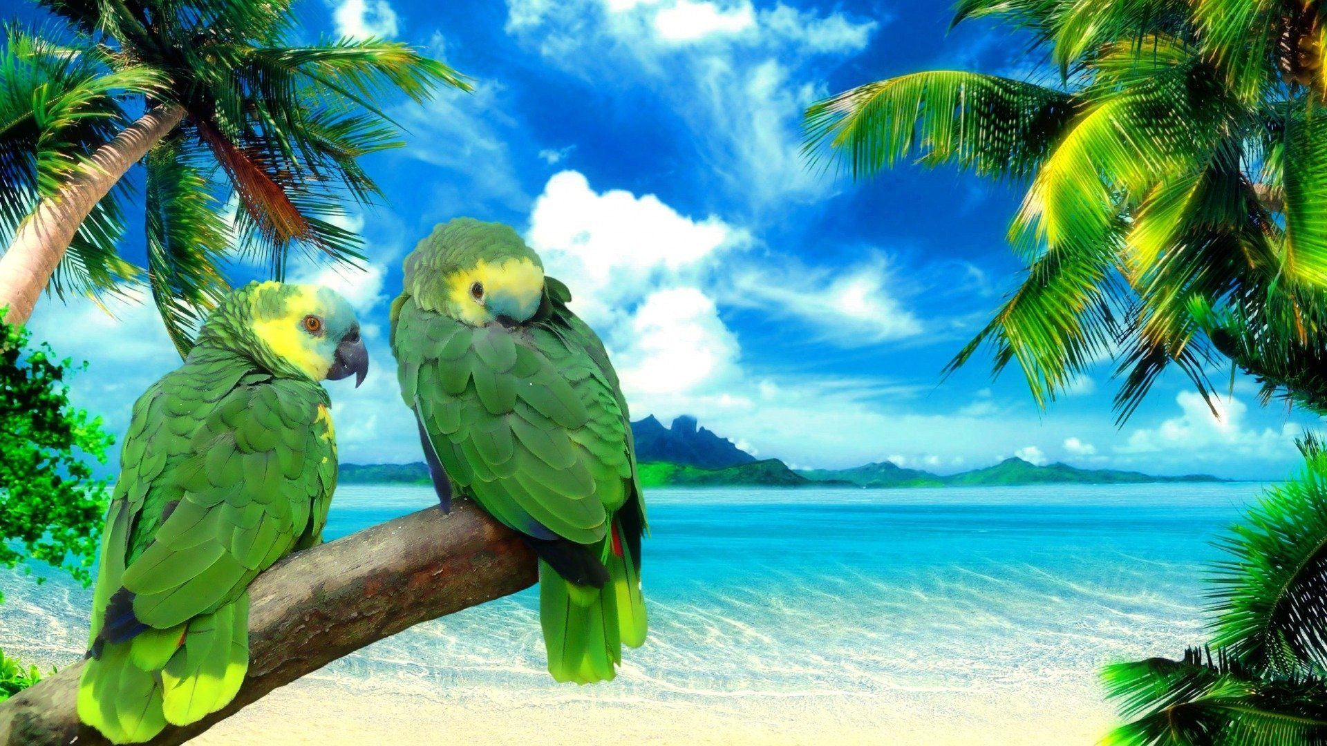 Fondo de pantalla de  1920x1080