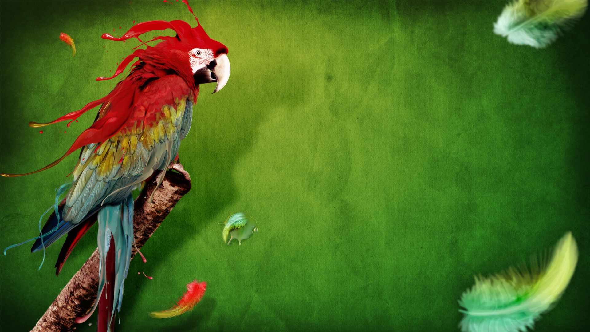Fondo de pantalla de  1920x1080