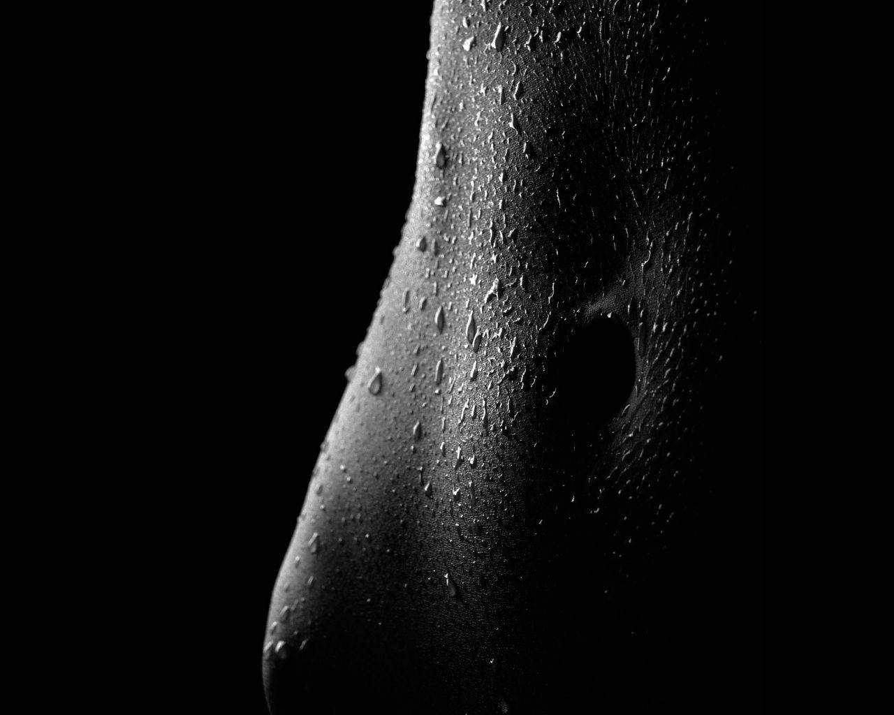 Fondo de pantalla de  1280x1024