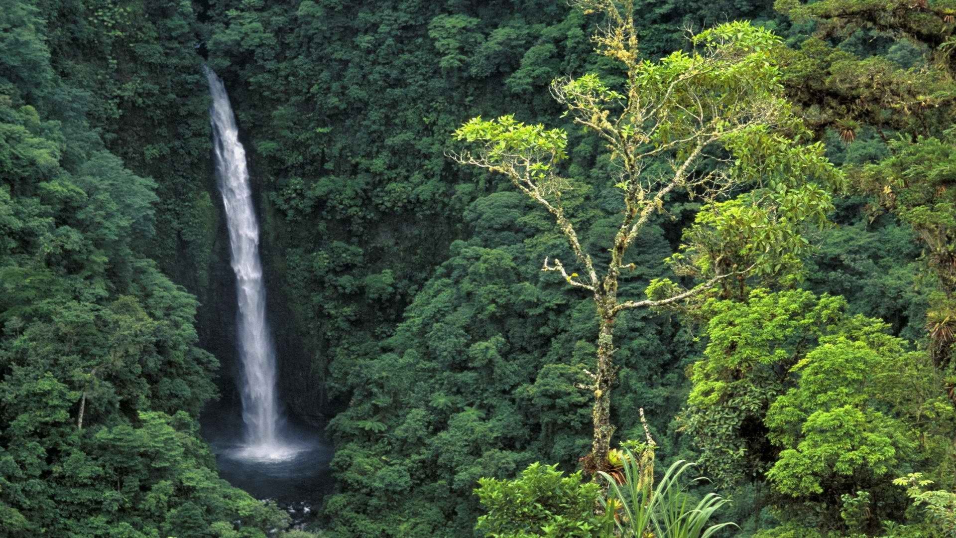 Fondo de pantalla de  1920x1080