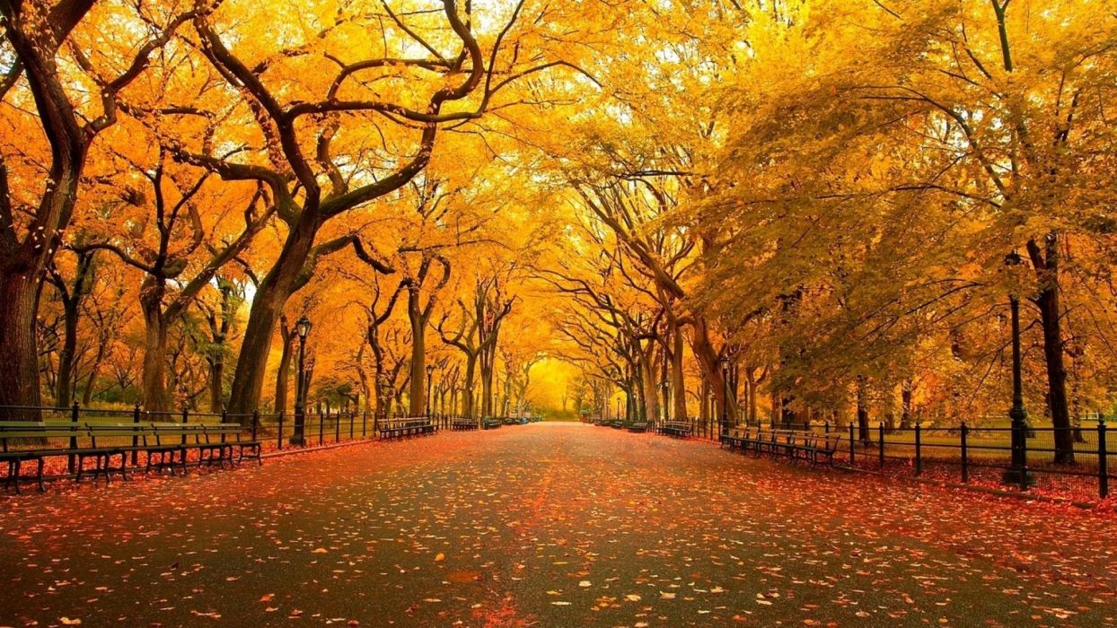 Fondo de pantalla de  1244x700